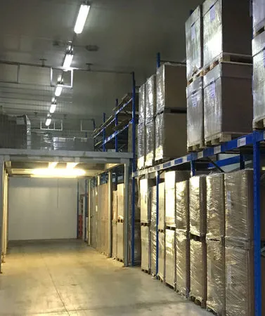 Fornitura di servizi di logistica, trasporto merci e deposito a Oppeano, in provincia di Verona